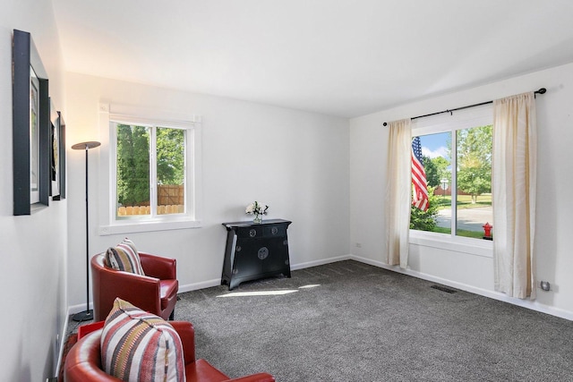 1239 Angeline Dr, South Elgin, IL 60177 - living area with carpet and baseboards