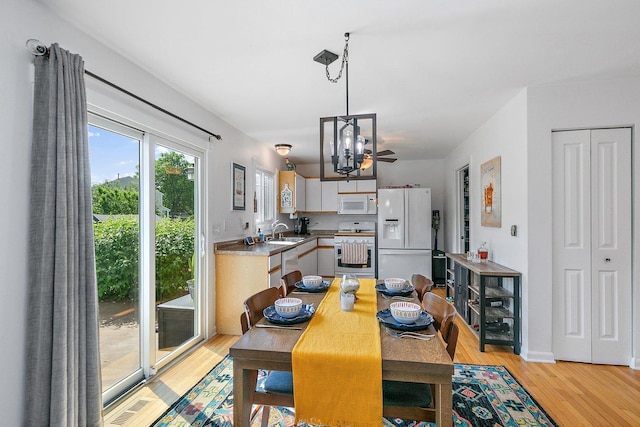 1239 Angeline Dr, South Elgin, IL 60177 - dining area with light wood finished floors and a chandelier