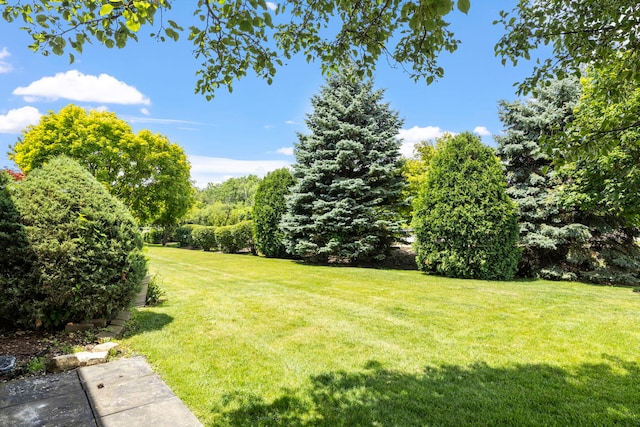 7 Cour Versaille, Palos Hills, IL 60465 - view of green lawn