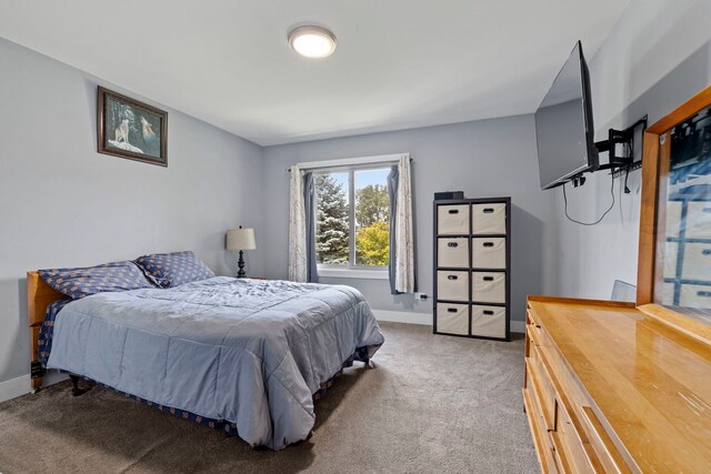 7 Cour Versaille, Palos Hills, IL 60465 - bedroom with carpet floors and baseboards