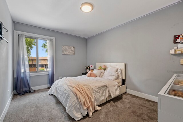 7 Cour Versaille, Palos Hills, IL 60465 - carpeted bedroom with baseboards