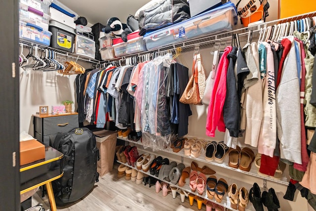 2493 Alison Ave, Pingree Grove, IL 60140 - walk in closet with wood finished floors