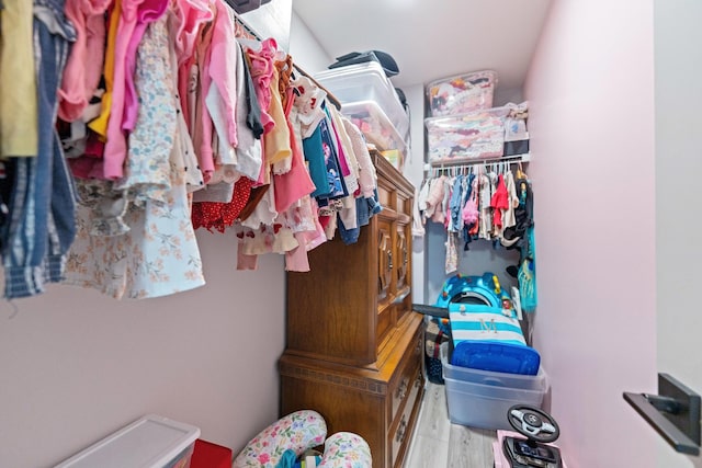 2493 Alison Ave, Pingree Grove, IL 60140 - walk in closet featuring wood finished floors