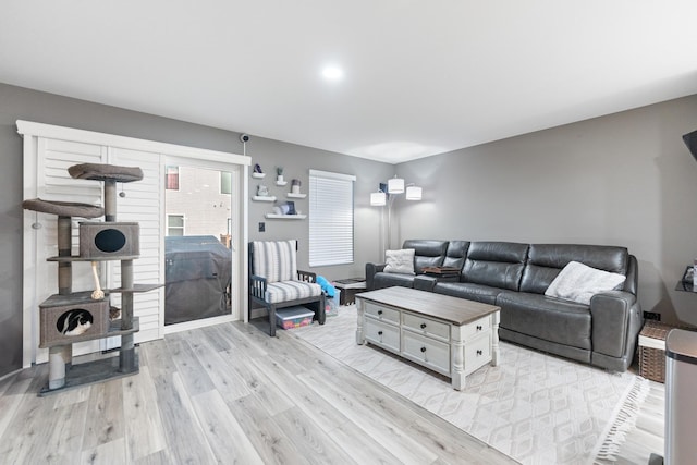 2493 Alison Ave, Pingree Grove, IL 60140 - living room with light wood-style floors