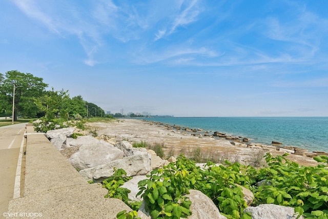 6700 S S Shore Dr Unit 10G, Chicago, IL 60649 - photo 15
