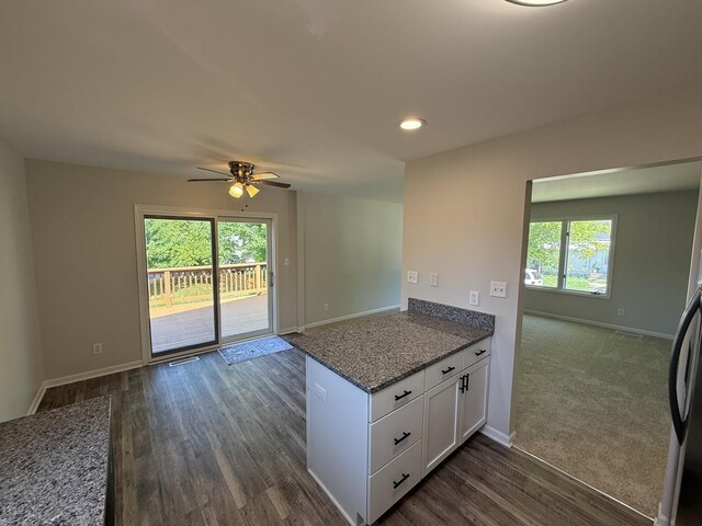 532 Harvey St, Dekalb, IL 60115 - photo 10