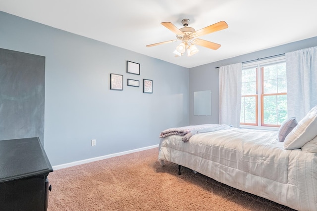 2900 Bear Claw St, Normal, IL 61761 - photo 24