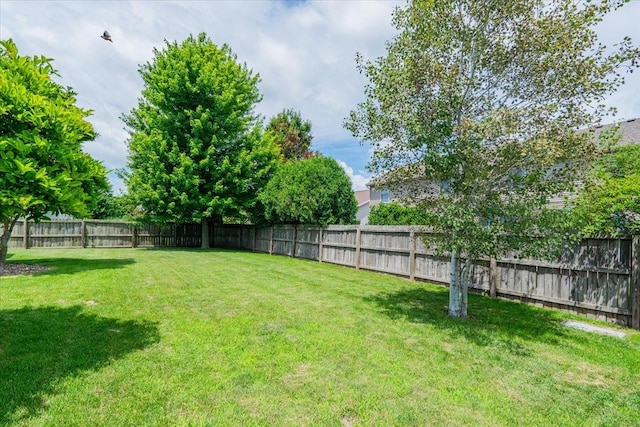 2900 Bear Claw St, Normal, IL 61761 - photo 39