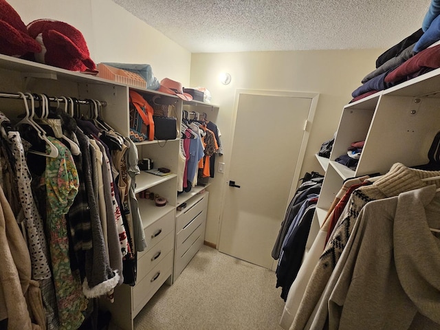 907 S Williams St Unit 210, Westmont, IL 60559 - photo 18