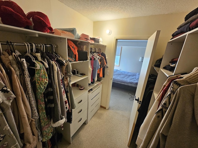 907 S Williams St Unit 210, Westmont, IL 60559 - photo 19