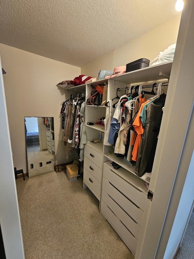 907 S Williams St Unit 210, Westmont, IL 60559 - photo 20