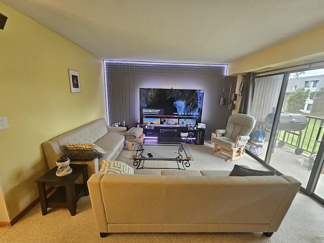 907 S Williams St Unit 210, Westmont, IL 60559 - photo 22