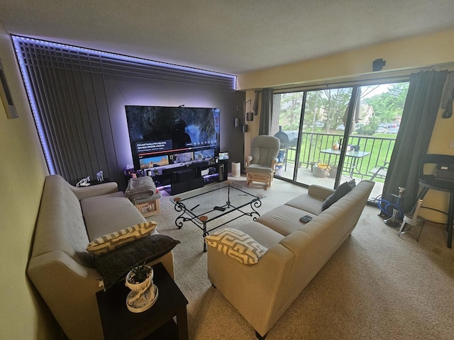 907 S Williams St Unit 210, Westmont, IL 60559 - photo 23