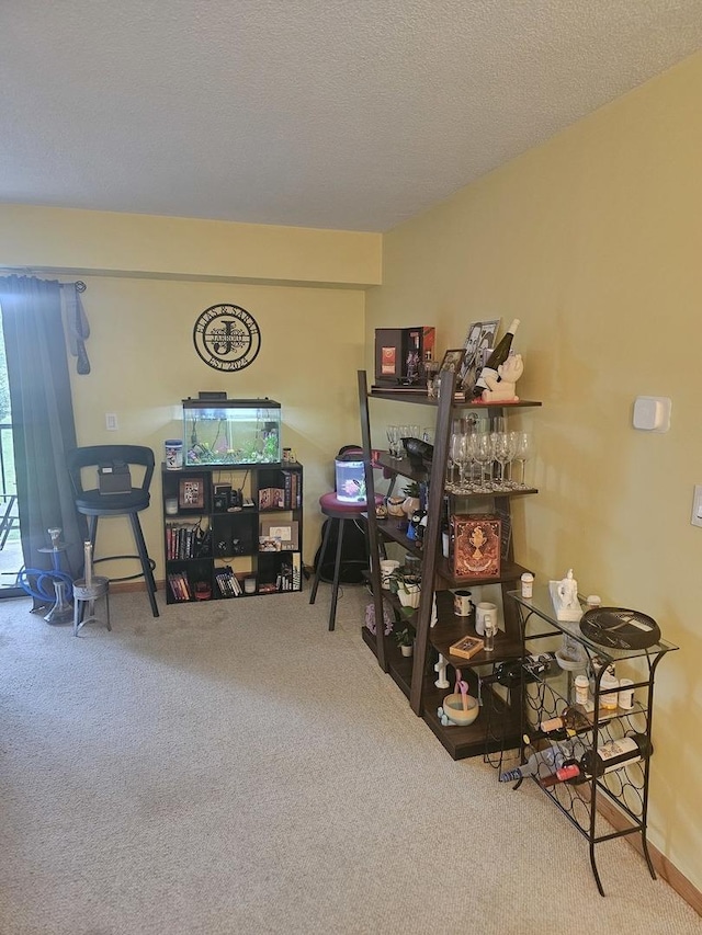 907 S Williams St Unit 210, Westmont, IL 60559 - photo 6