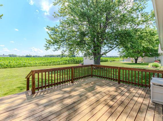 412 Holly Dr, Lincoln, IL 62656 - photo 25