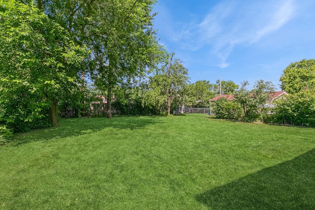 15246 S Millard Ave S, Midlothian, IL 60445 - view of yard
