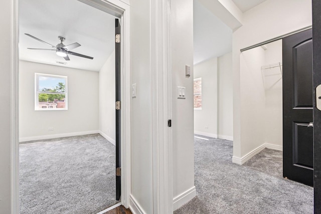 6547 S Langley Ave, Chicago, IL 60637 - hall with carpet and baseboards