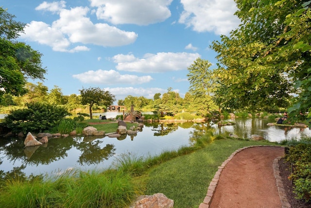 6547 S Langley Ave, Chicago, IL 60637 - water view
