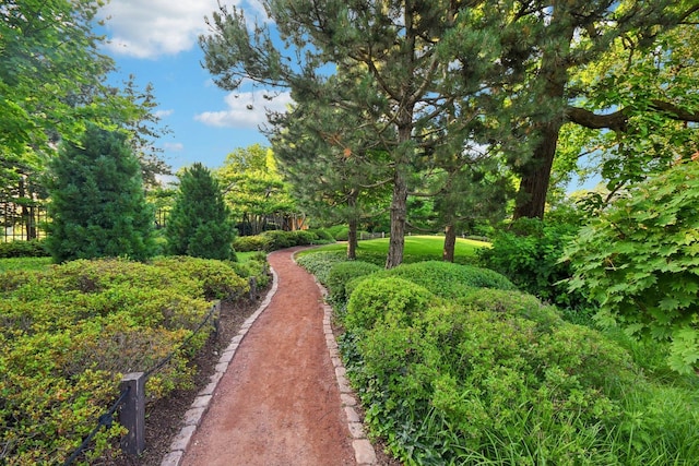6547 S Langley Ave, Chicago, IL 60637 - view of property's community