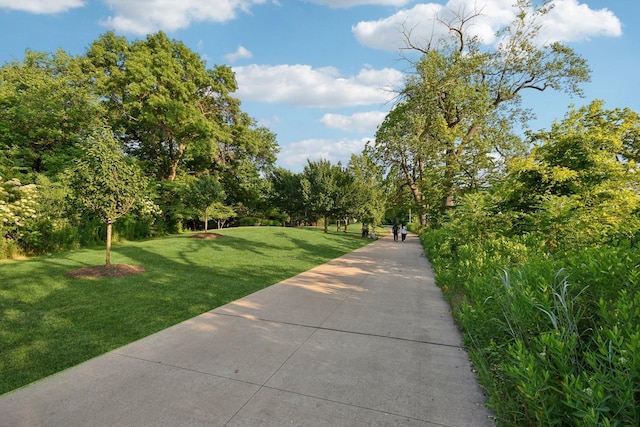 6547 S Langley Ave, Chicago, IL 60637 - surrounding community with a lawn