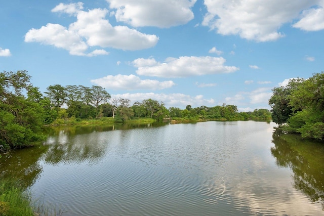 6547 S Langley Ave, Chicago, IL 60637 - water view featuring a heavily wooded area