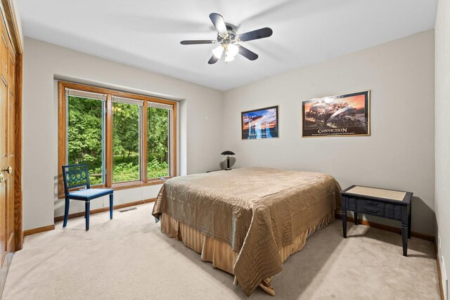 31W139 Rohrssen Rd, Elgin, IL 60120 - photo 26