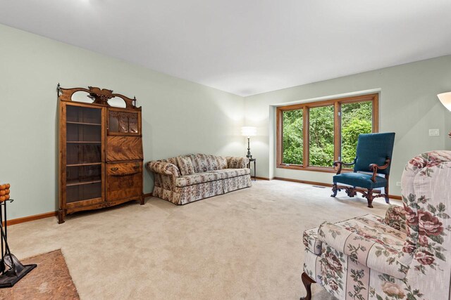 31W139 Rohrssen Rd, Elgin, IL 60120 - photo 9