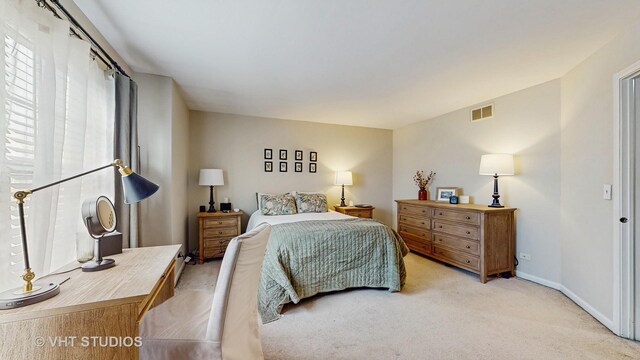 1127 Marcello Dr, Hampshire, IL 60140 - photo 13