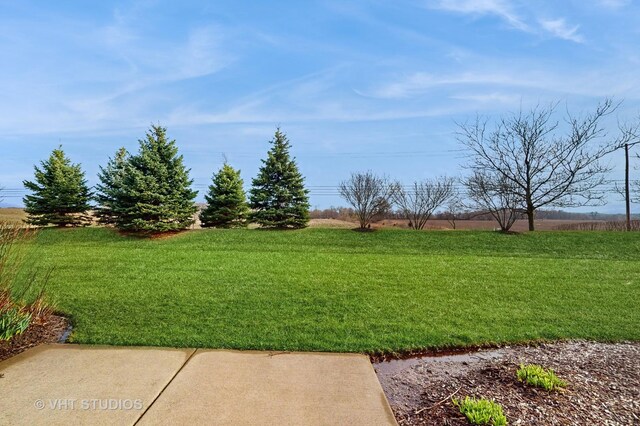 1127 Marcello Dr, Hampshire, IL 60140 - photo 22