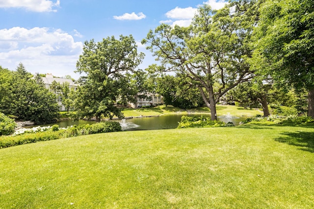 17 Ambriance Dr, Burr Ridge, IL 60527 - photo 50