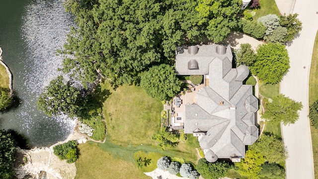 17 Ambriance Dr, Burr Ridge, IL 60527 - photo 56