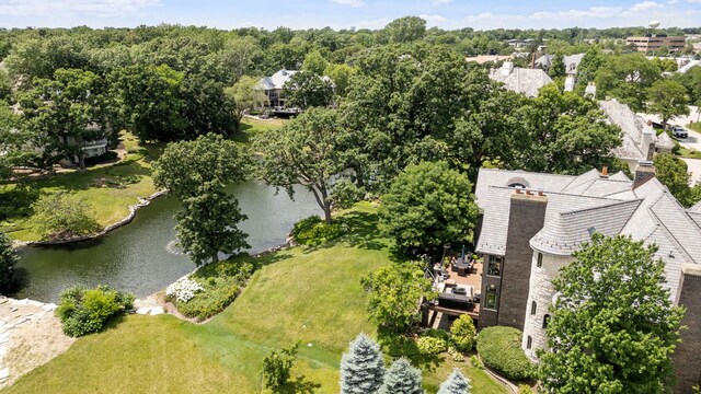 17 Ambriance Dr, Burr Ridge, IL 60527 - photo 58