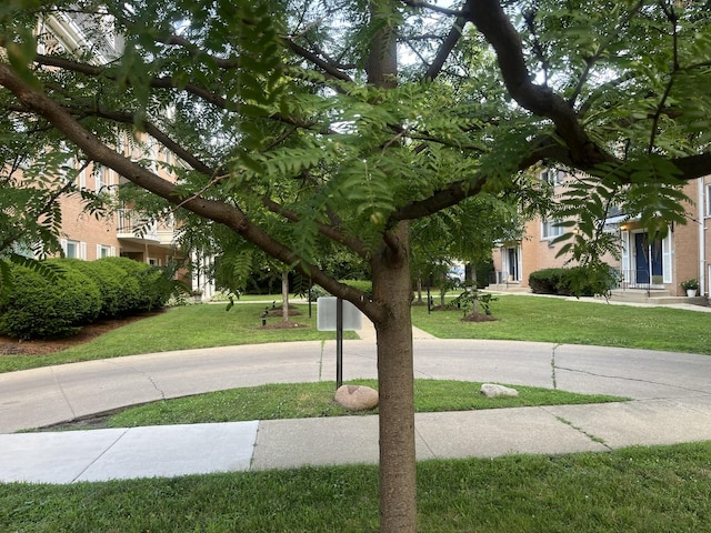 415 Wesley Ave Unit 21, Oak Park, IL 60302 - photo 31