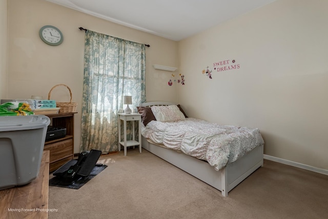 209 Campbell Dr, Bolingbrook, IL 60440 - photo 23