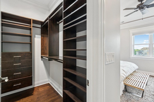 450 N Sangamon St Unit 4, Chicago, IL 60642 - spacious closet featuring dark wood-style flooring and ceiling fan