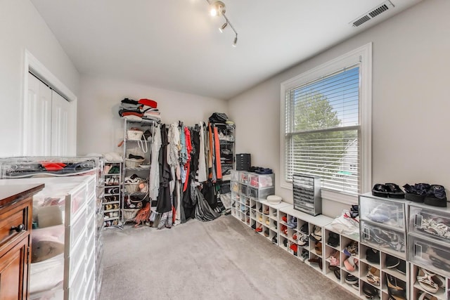 3239 Wesley Ave, Berwyn, IL 60402 - spacious closet featuring carpet floors
