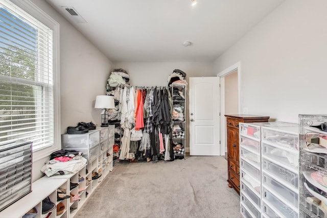 3239 Wesley Ave, Berwyn, IL 60402 - walk in closet featuring carpet flooring