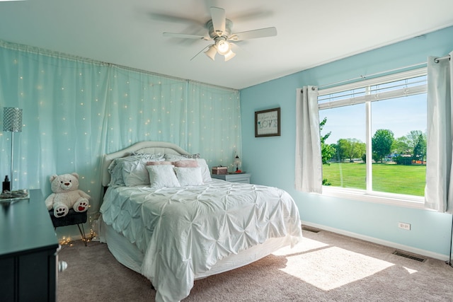 9890 Riverside Dr, Huntley, IL 60142 - carpeted bedroom with baseboards and a ceiling fan