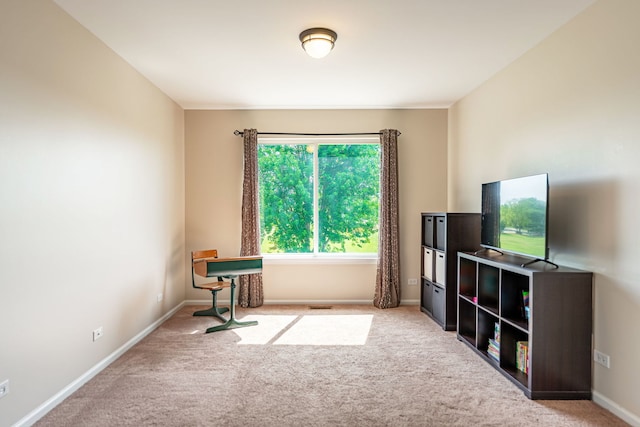 9890 Riverside Dr, Huntley, IL 60142 - living area with carpet flooring
