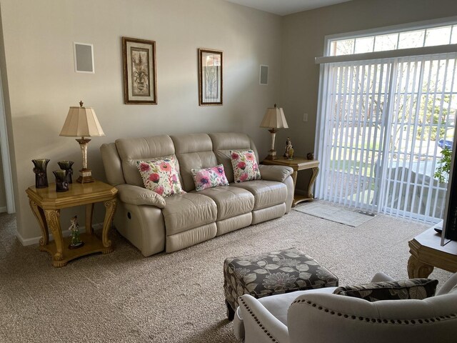 316 De Trevi, Bloomingdale, IL 60108 - photo 21