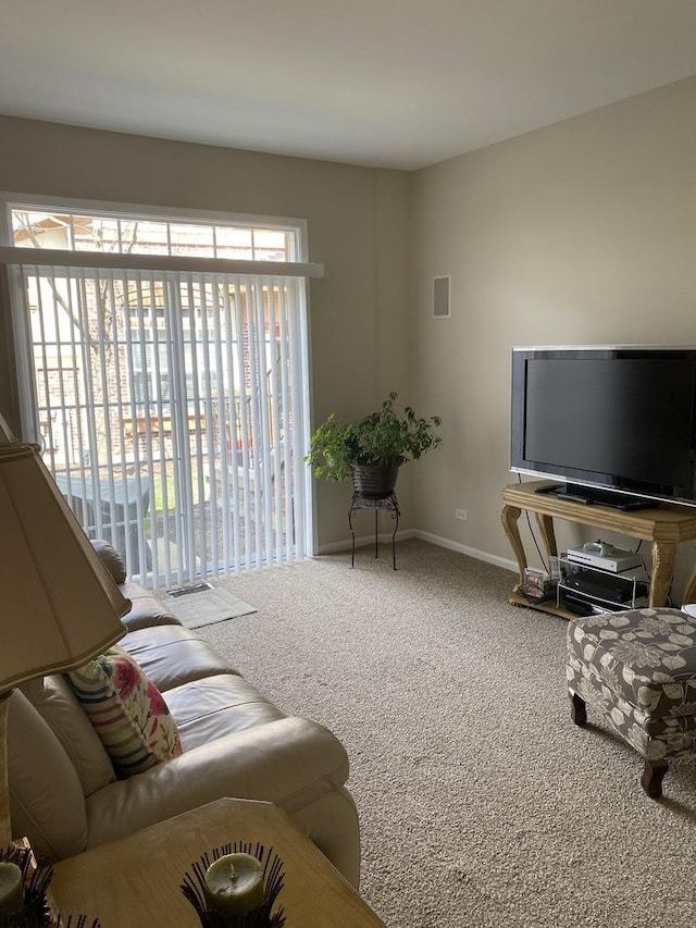 316 De Trevi, Bloomingdale, IL 60108 - photo 22