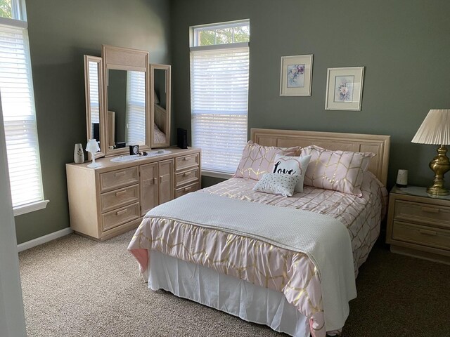316 De Trevi, Bloomingdale, IL 60108 - photo 23