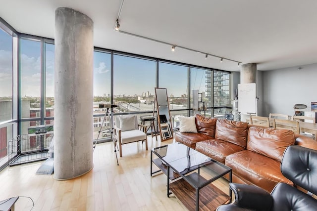 860 W Blackhawk St Unit 805, Chicago, IL 60642 - living room featuring track lighting, expansive windows, light wood finished floors, and a city view