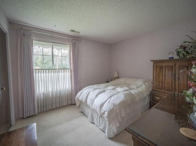 8125 Willow Dr Unit C, Palos Hills, IL 60465 - bedroom featuring a textured ceiling and light colored carpet