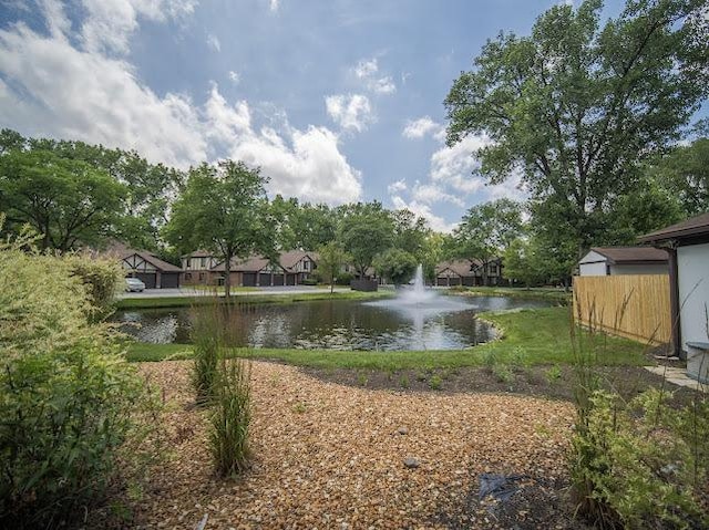 8125 Willow Dr Unit C, Palos Hills, IL 60465 - water view