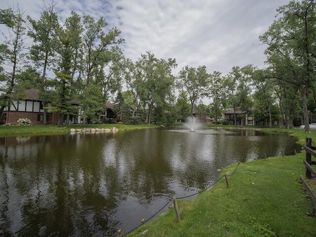 8125 Willow Dr Unit C, Palos Hills, IL 60465 - water view