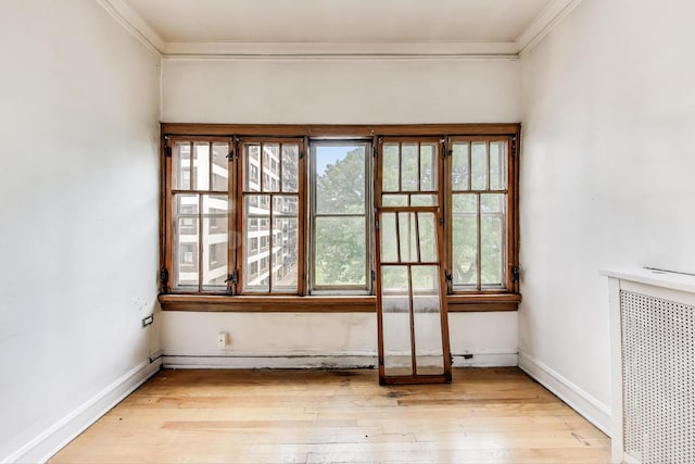 1532 E 59th St Unit J3, Chicago, IL 60637 - empty room featuring crown molding and light wood-style floors