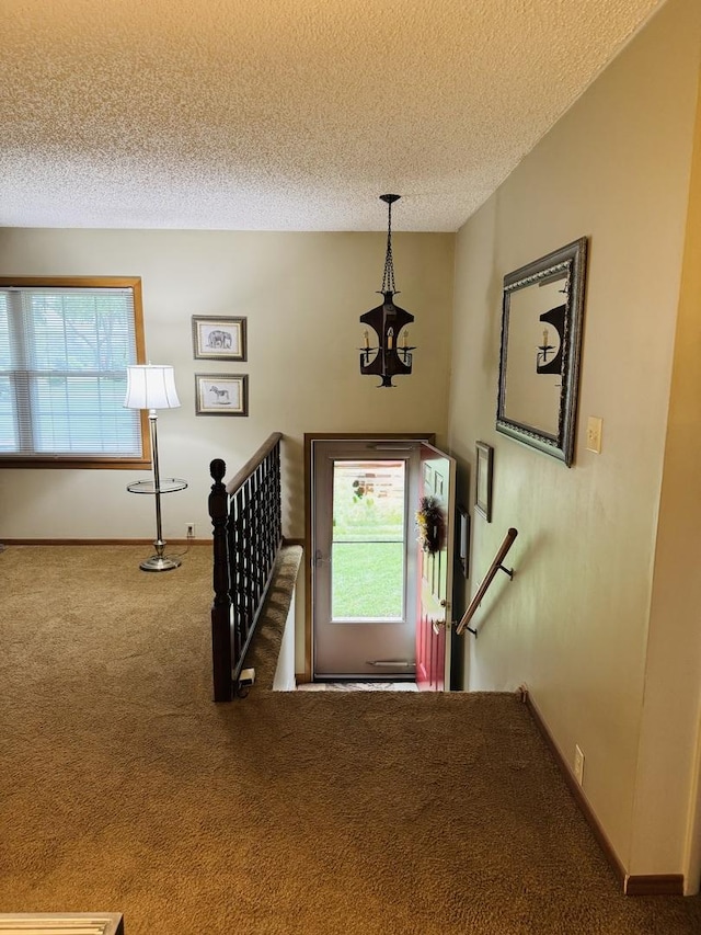 4 Sinde Cir, Romeoville, IL 60446 - photo 19