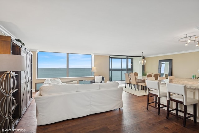 1500 Sheridan Rd Unit 7G, Wilmette, IL 60091 - living area featuring ornamental molding and dark wood finished floors