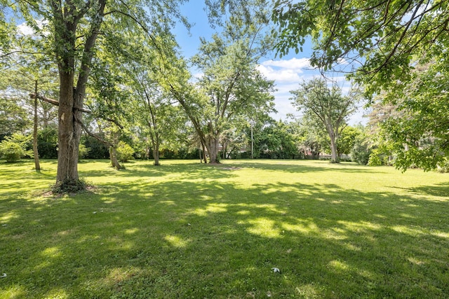 7942 Tennessee Ave, Willowbrook, IL 60527 - view of green lawn
